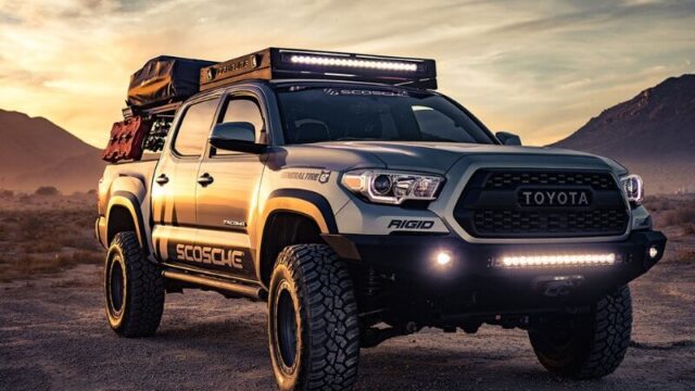 Area Insights | Setia Alam Property & Lifestyle Guide 2.jpg